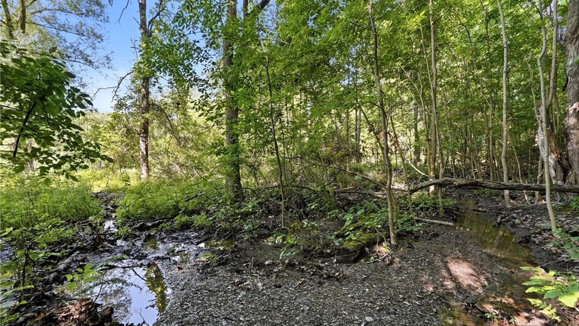Property at 1536 South Creek Road, Evans, NY 14047 39