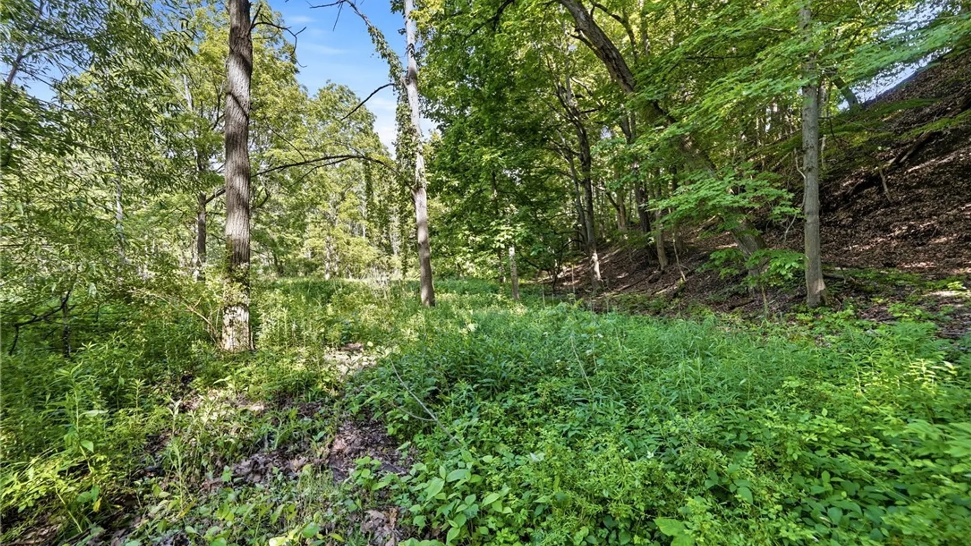 Property at 1536 South Creek Road, Evans, NY 14047 41