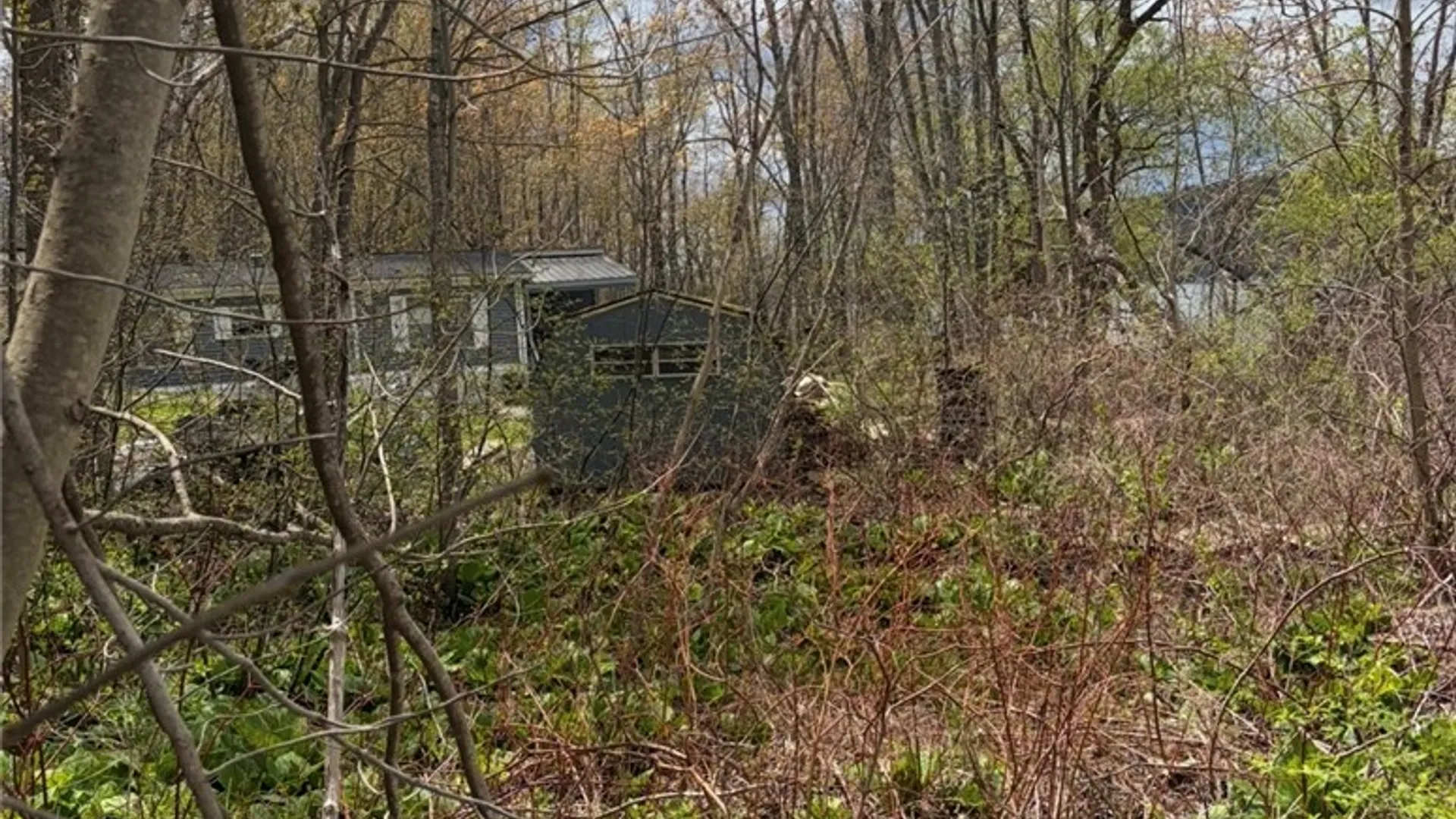 Property at County Highway 22, Richfield, NY 13439 5