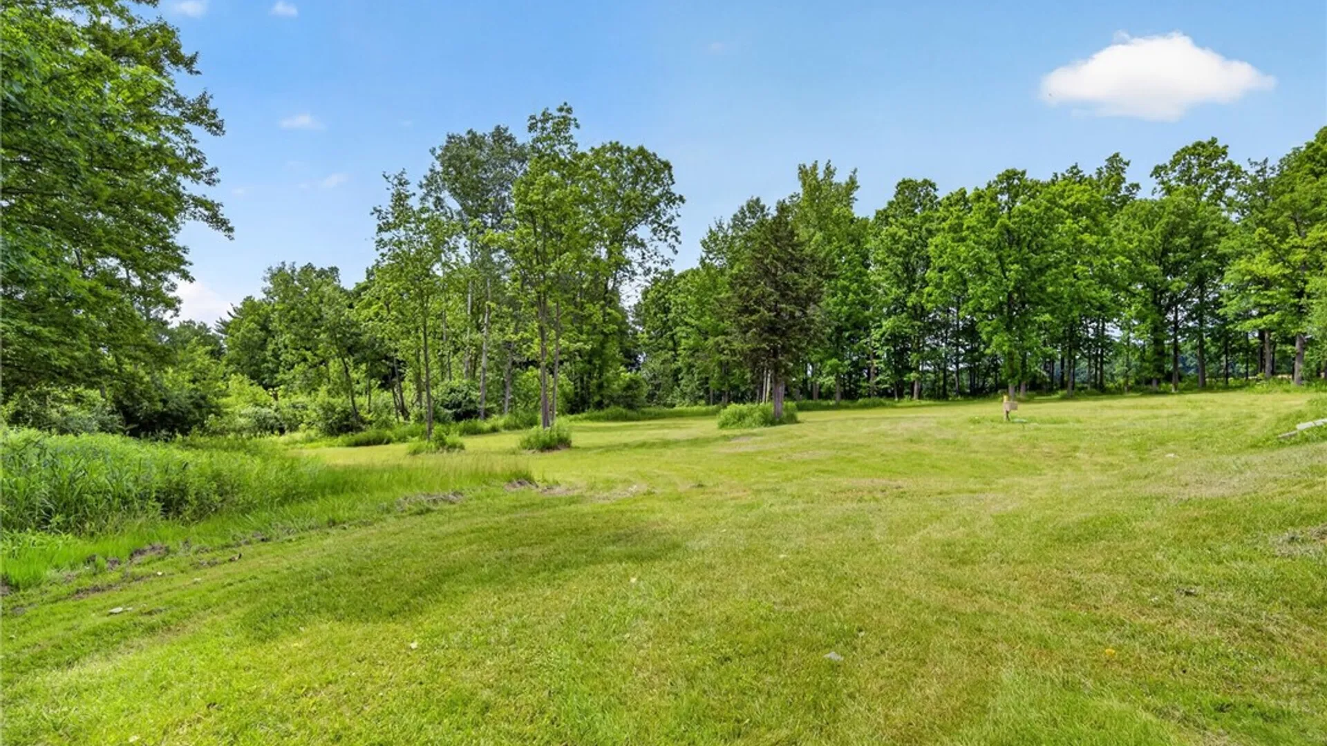 Property at 286 Holden Road, Lansing, NY 14882 31