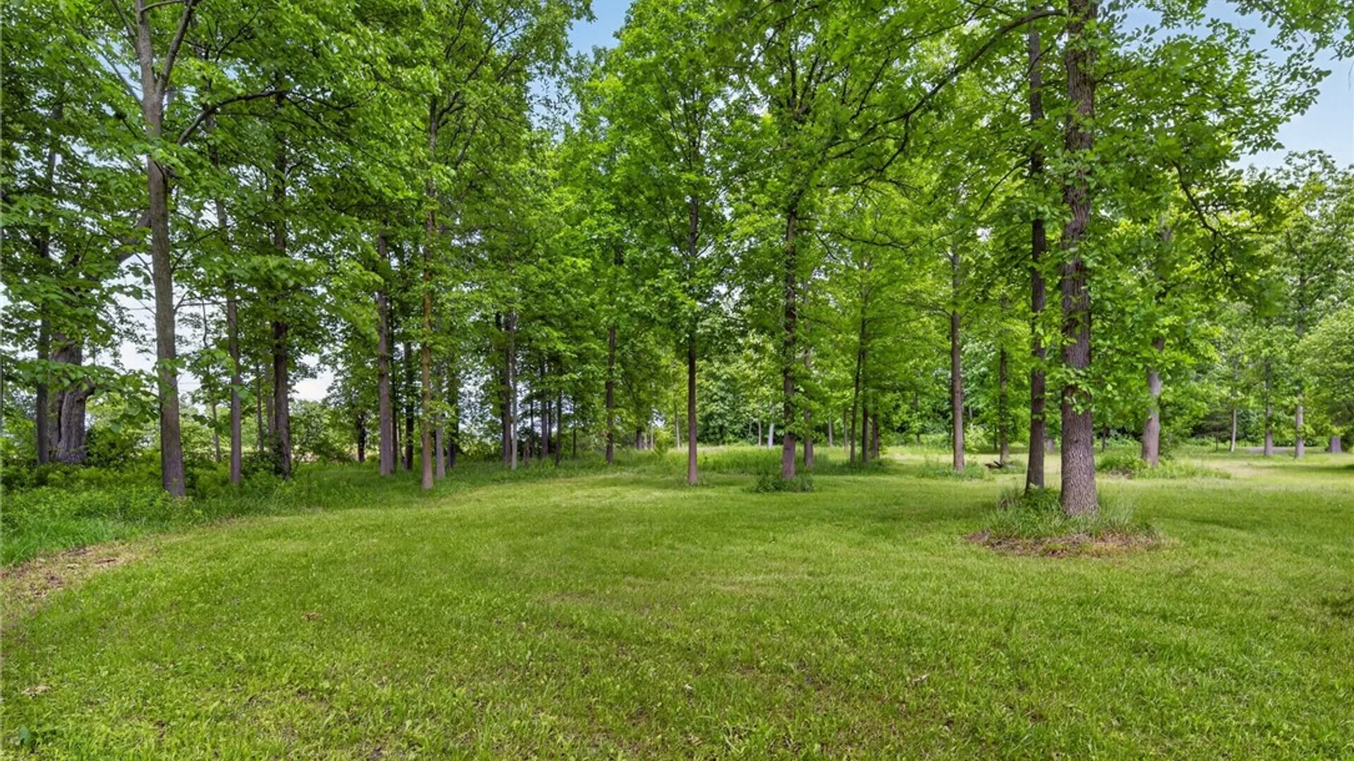 Property at 286 Holden Road, Lansing, NY 14882 32
