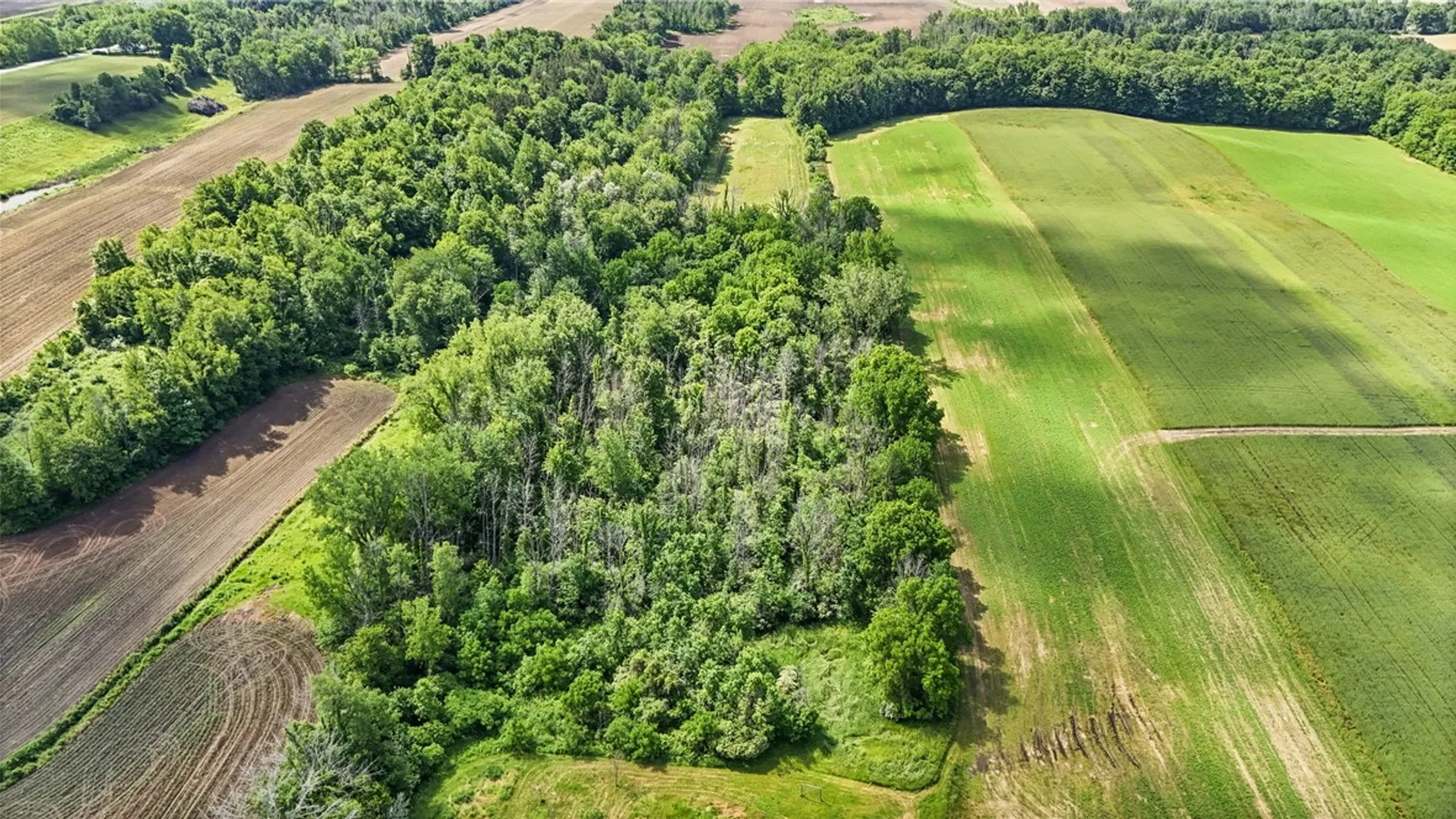 Property at 4880 Skinner Road, Marion, NY 14505 16
