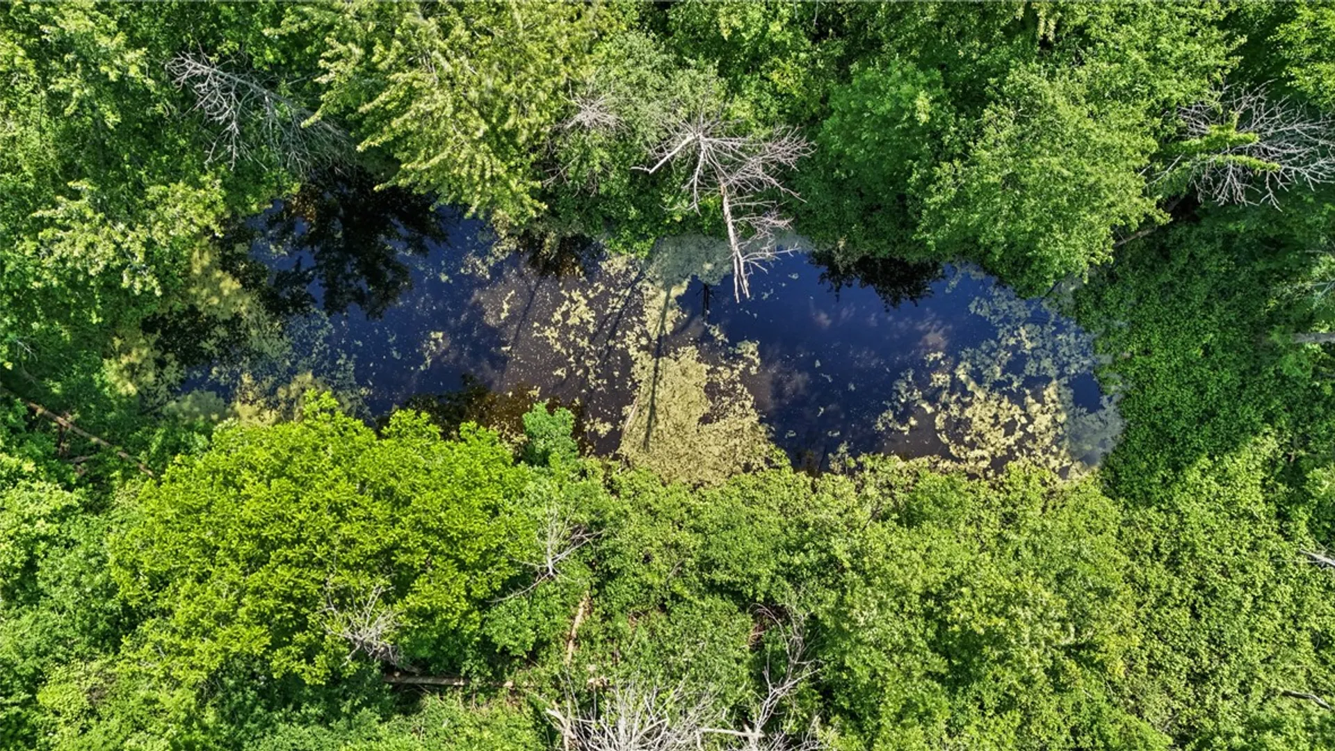 Property at 4880 Skinner Road, Marion, NY 14505 17