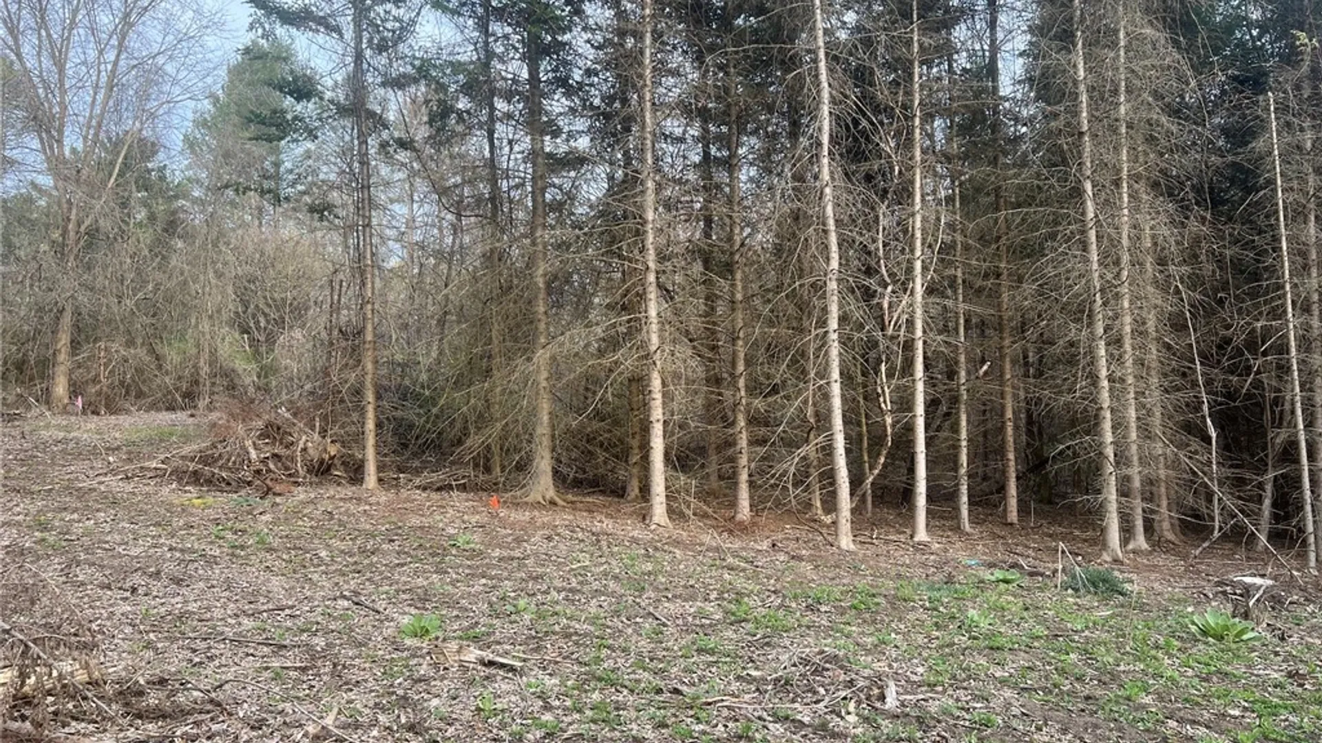 Property at 6201 Us-20, Lafayette, NY 13084 5