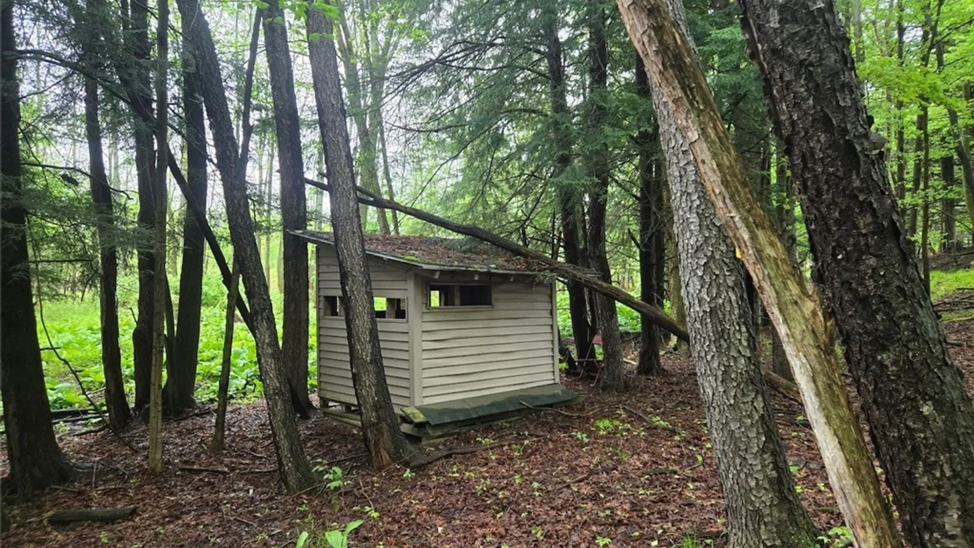 Property at Hermitage Road, Wethersfield, NY 14569 9