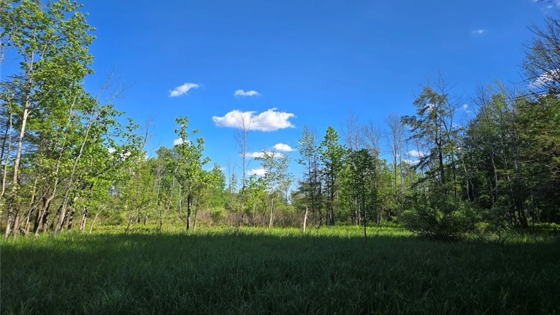 Property at Hermitage Road, Wethersfield, NY 14569 14