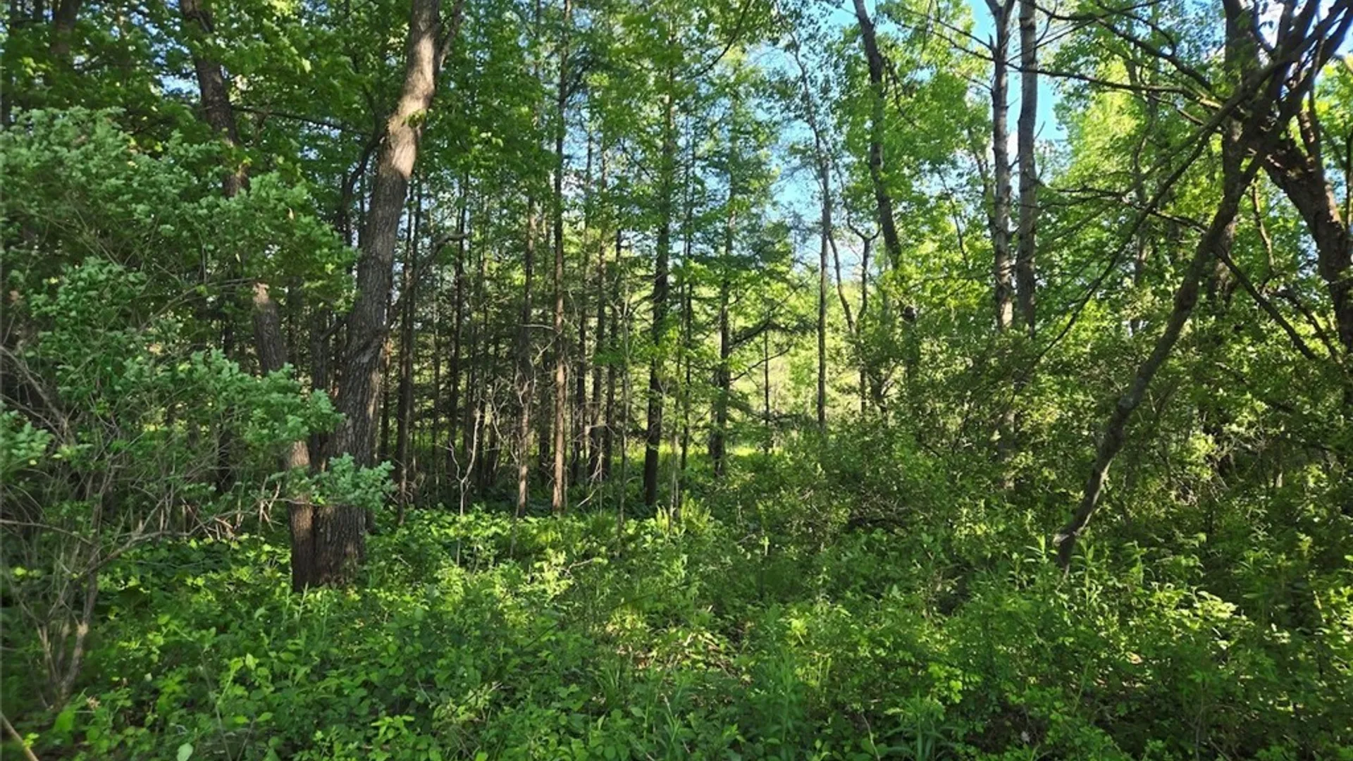 Property at Hermitage Road, Wethersfield, NY 14569 17