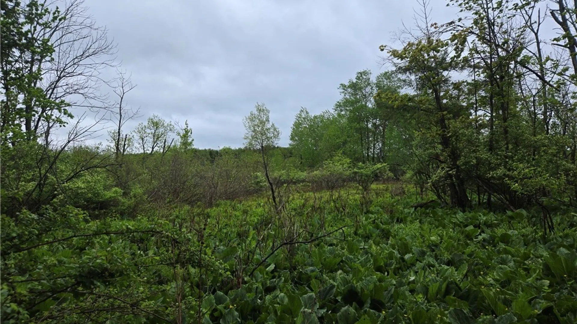 Property at Hermitage Road, Wethersfield, NY 14569 28