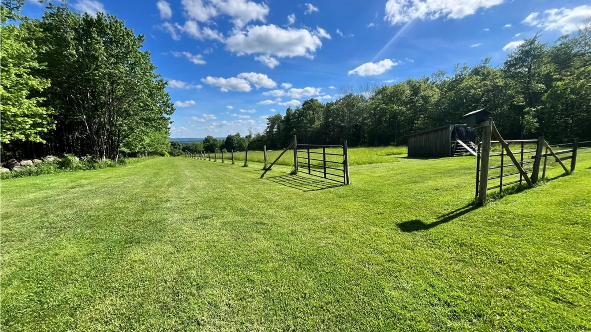 Property at 882 Alma Hill Road, Alma, NY 14895 27