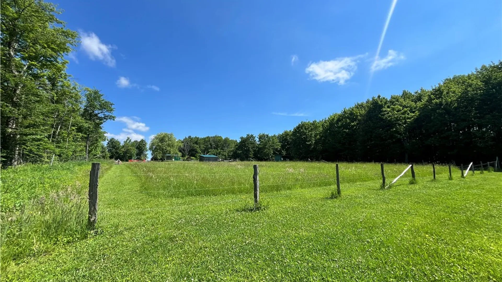Property at 882 Alma Hill Road, Alma, NY 14895 29