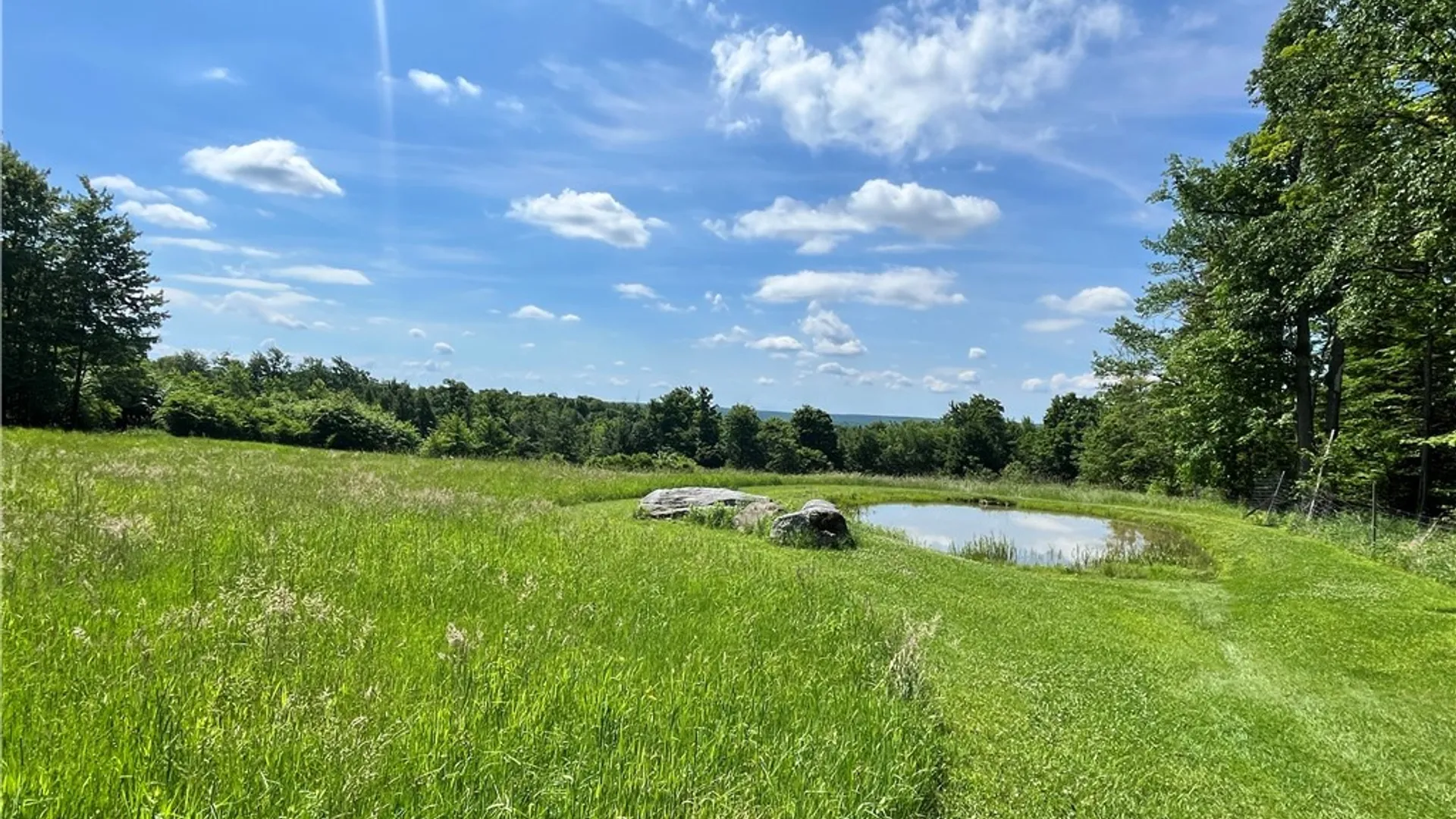 Property at 882 Alma Hill Road, Alma, NY 14895 30