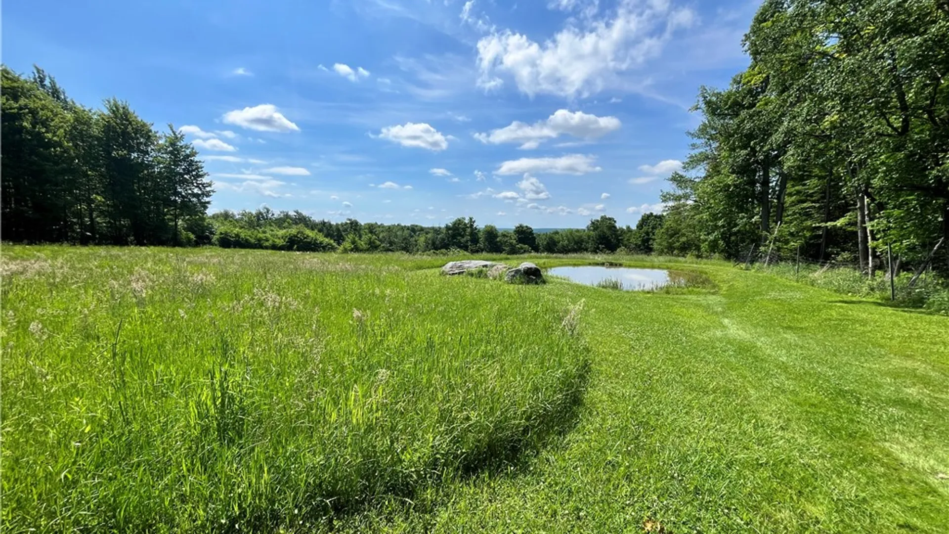 Property at 882 Alma Hill Road, Alma, NY 14895 31