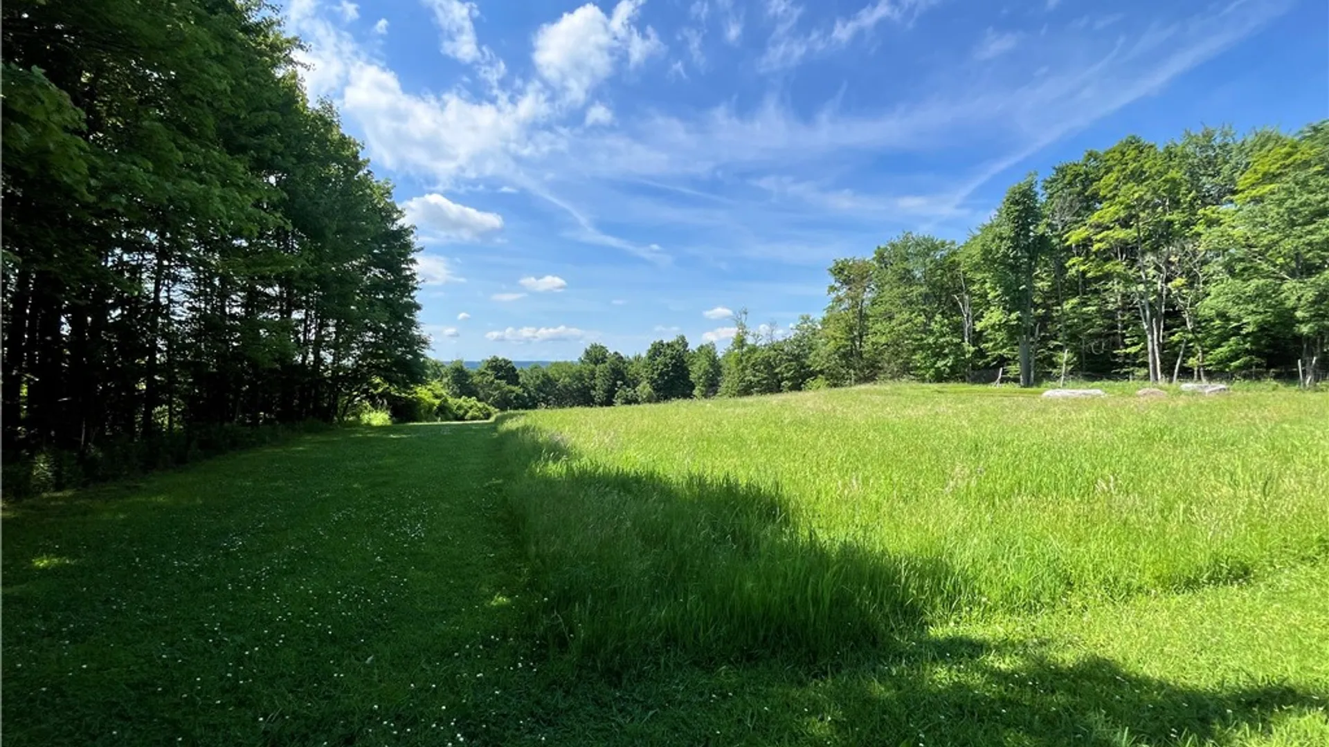 Property at 882 Alma Hill Road, Alma, NY 14895 35