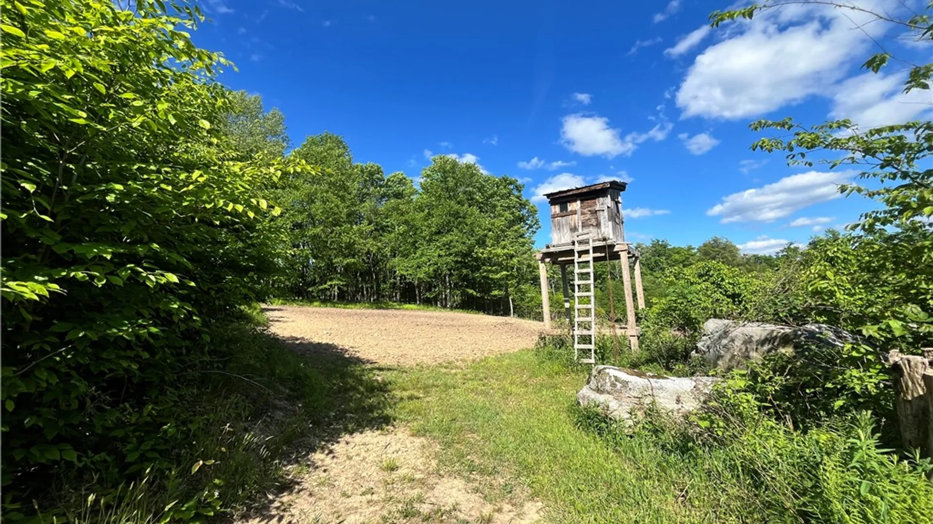 Property at 882 Alma Hill Road, Alma, NY 14895 36