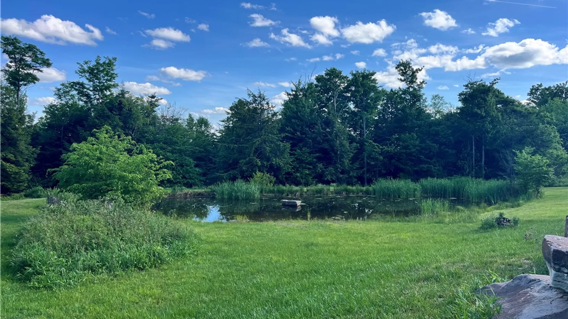 Property at 882 Alma Hill Road, Alma, NY 14895 37