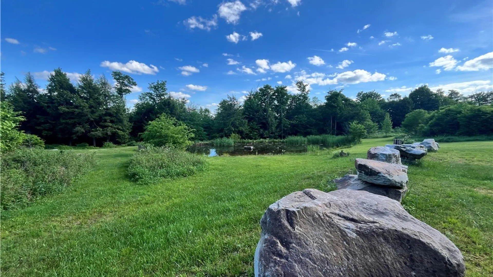 Property at 882 Alma Hill Road, Alma, NY 14895 38