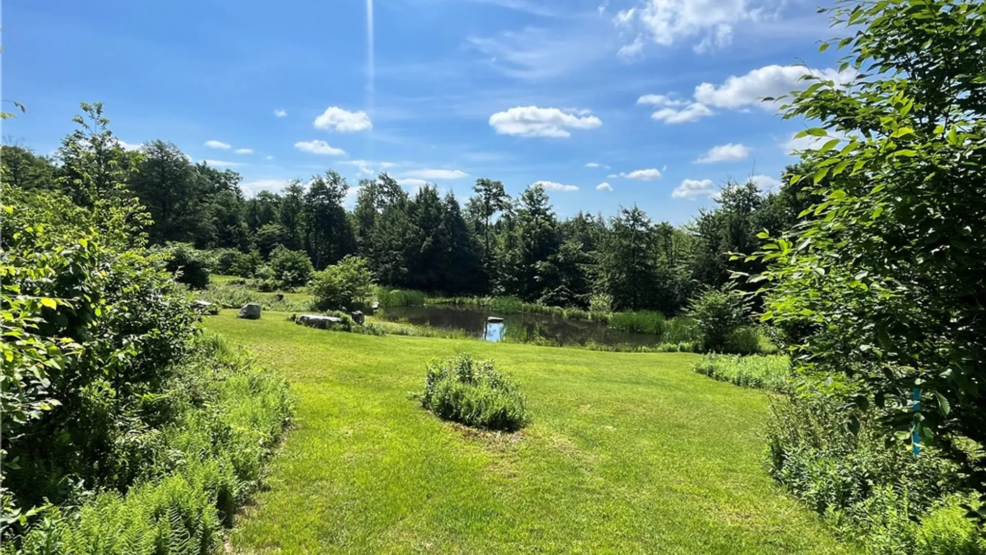 Property at 882 Alma Hill Road, Alma, NY 14895 40