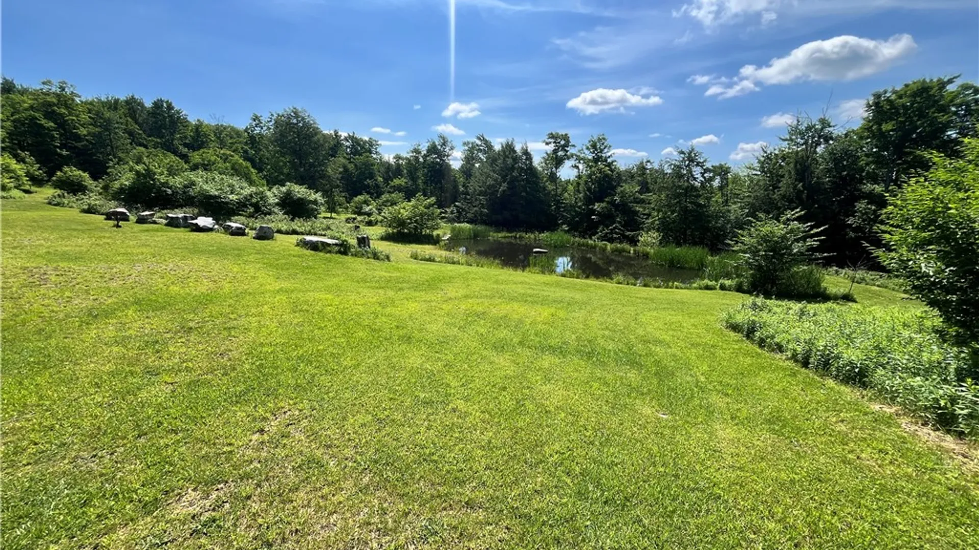 Property at 882 Alma Hill Road, Alma, NY 14895 41