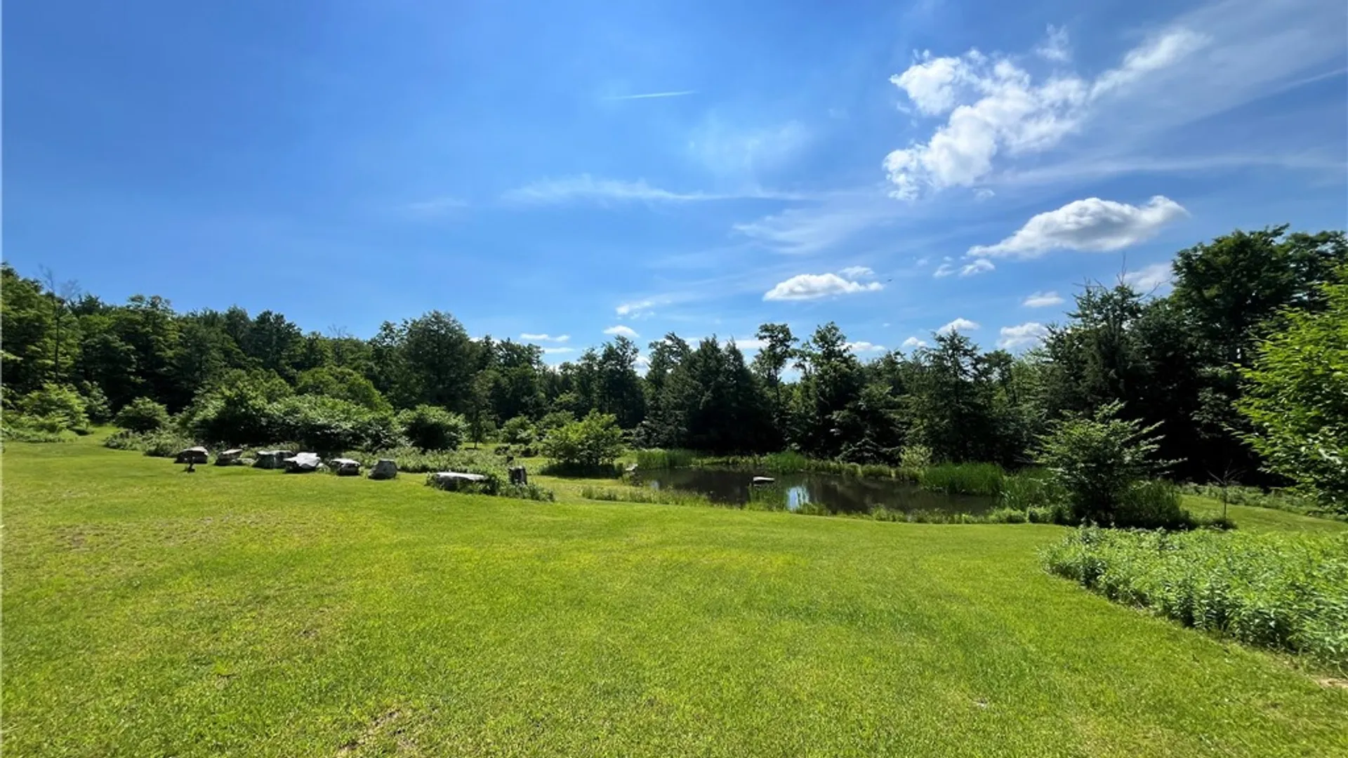 Property at 882 Alma Hill Road, Alma, NY 14895 42