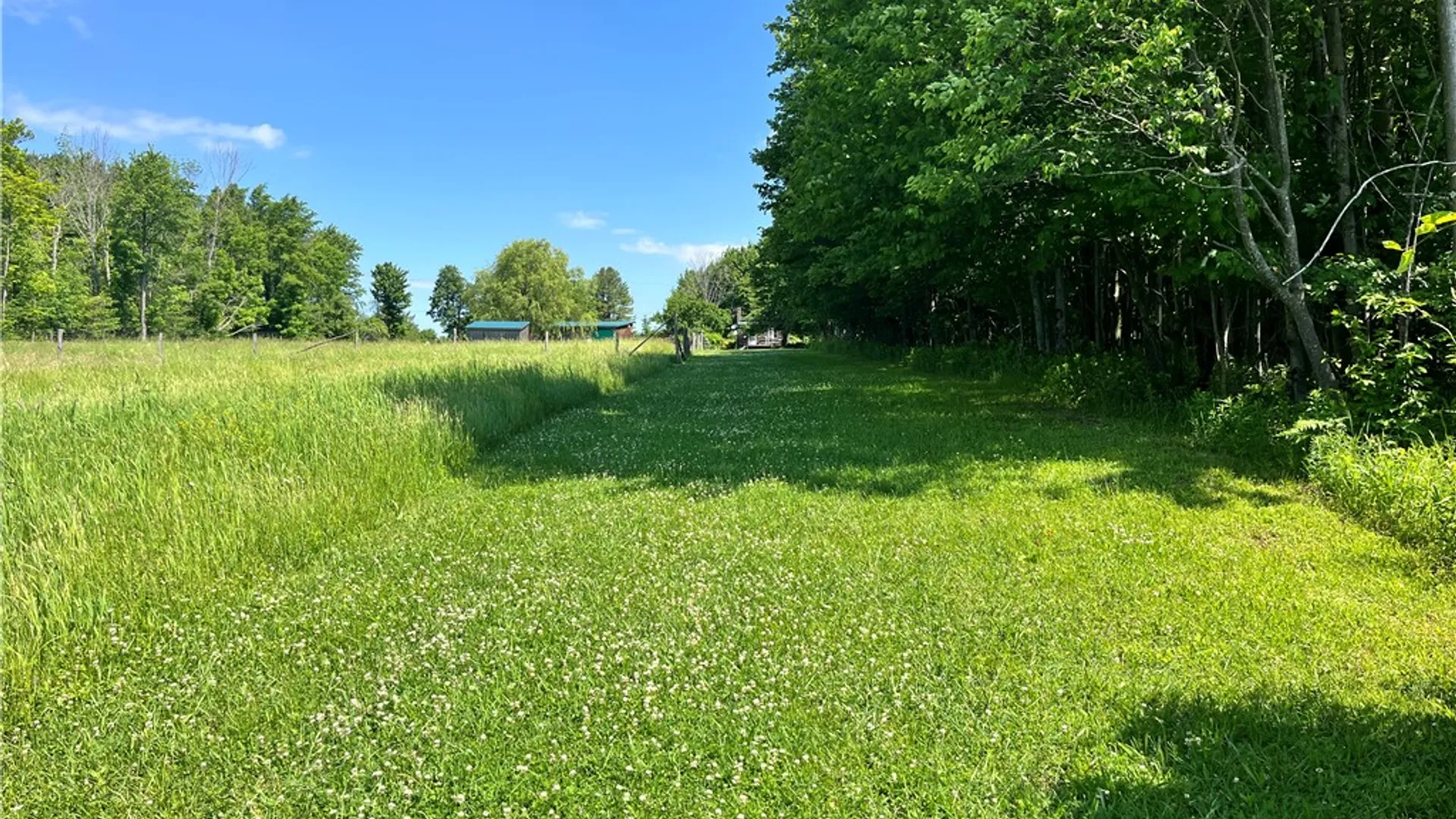 Property at 882 Alma Hill Road, Alma, NY 14895 43