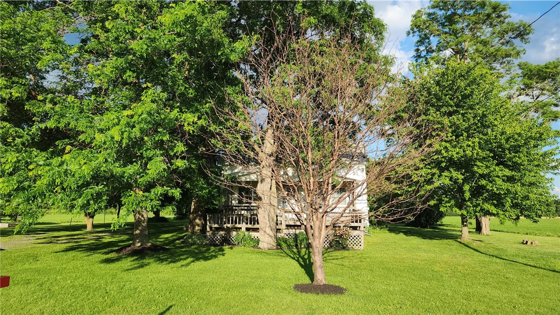 Property at 817 Pre Emption Road, Benton, NY 14527 41