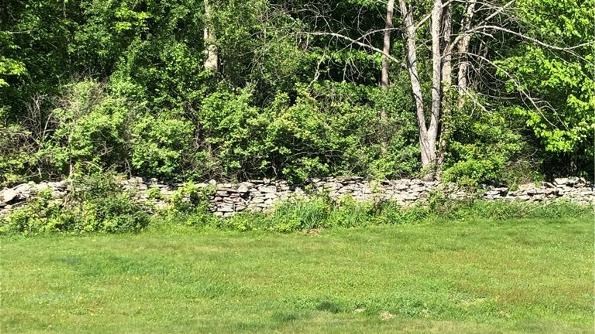 Property at 1302 County Highway 44, Franklin, NY 13775 48