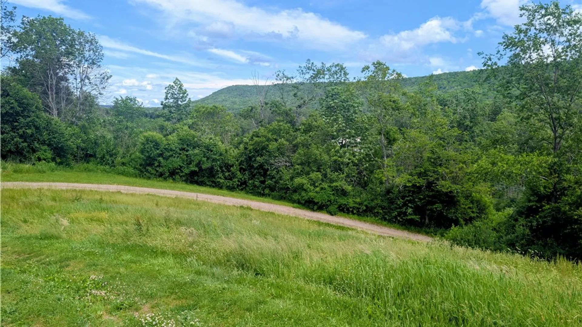 Property at 2978 Andover Road, Wellsville, NY 14895 5