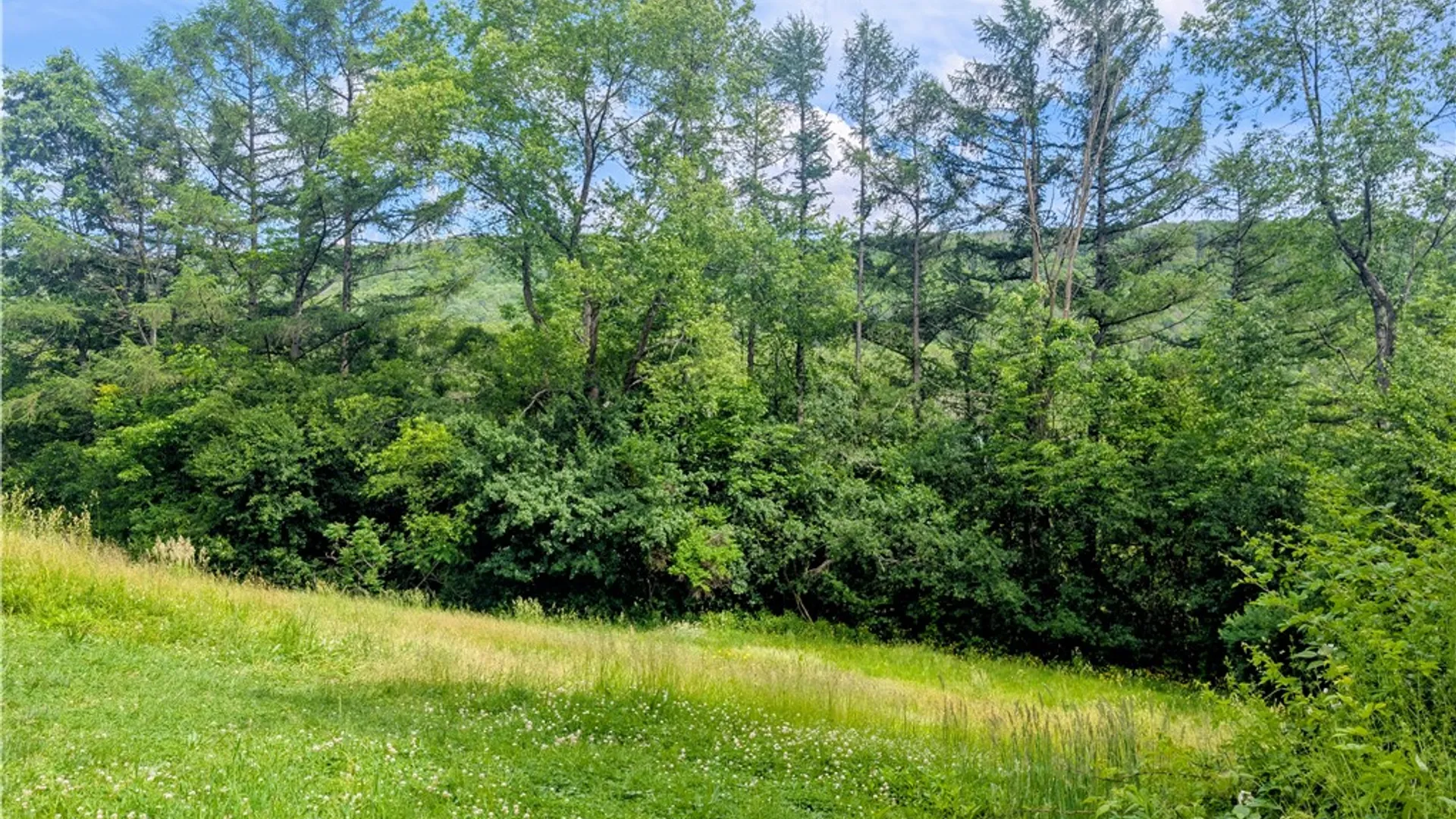 Property at 2978 Andover Road, Wellsville, NY 14895 28