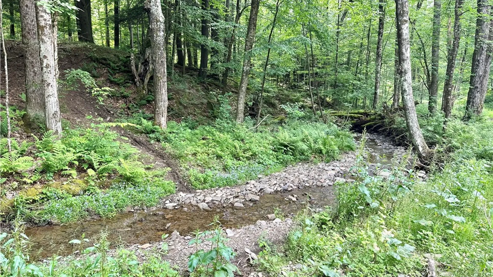 Property at 2298 State Highway 23, Morris, NY 13808 45
