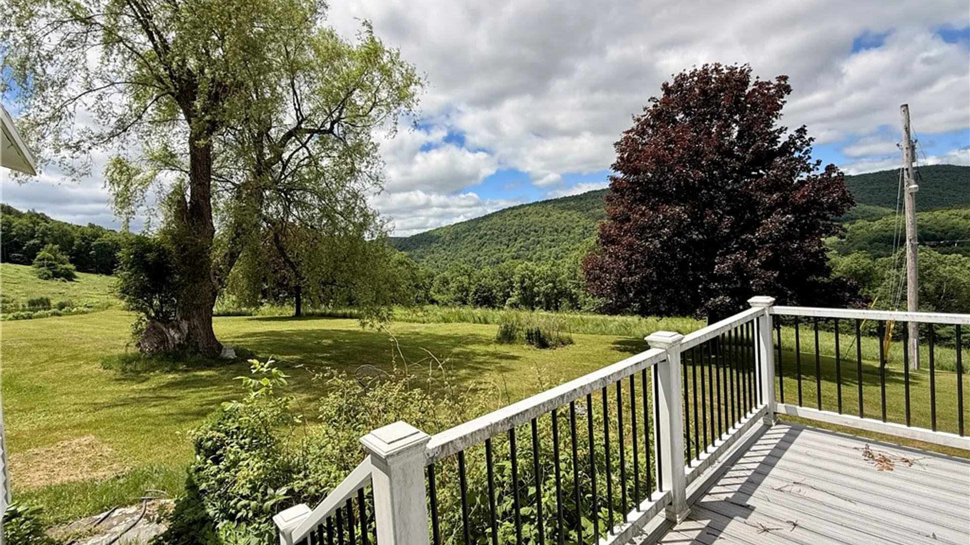 Property at 240 Dowie Road, Andes, NY 13731 35