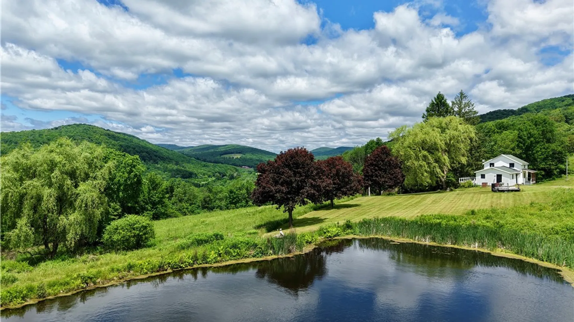Property at 240 Dowie Road, Andes, NY 13731 40