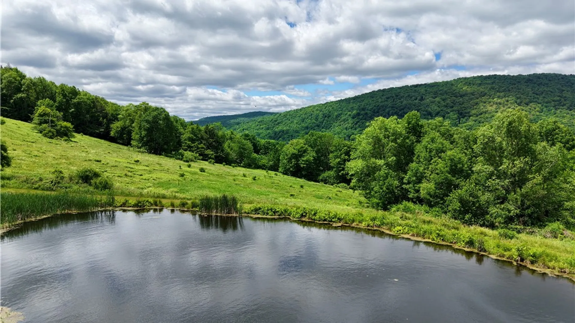 Property at 240 Dowie Road, Andes, NY 13731 41