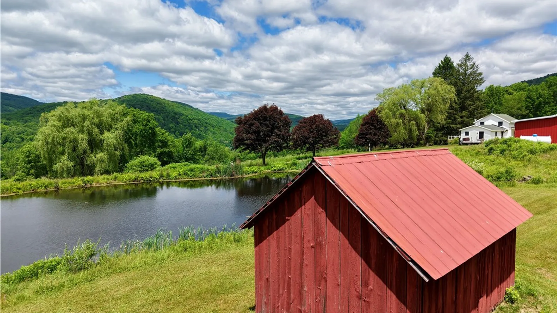 Property at 240 Dowie Road, Andes, NY 13731 43