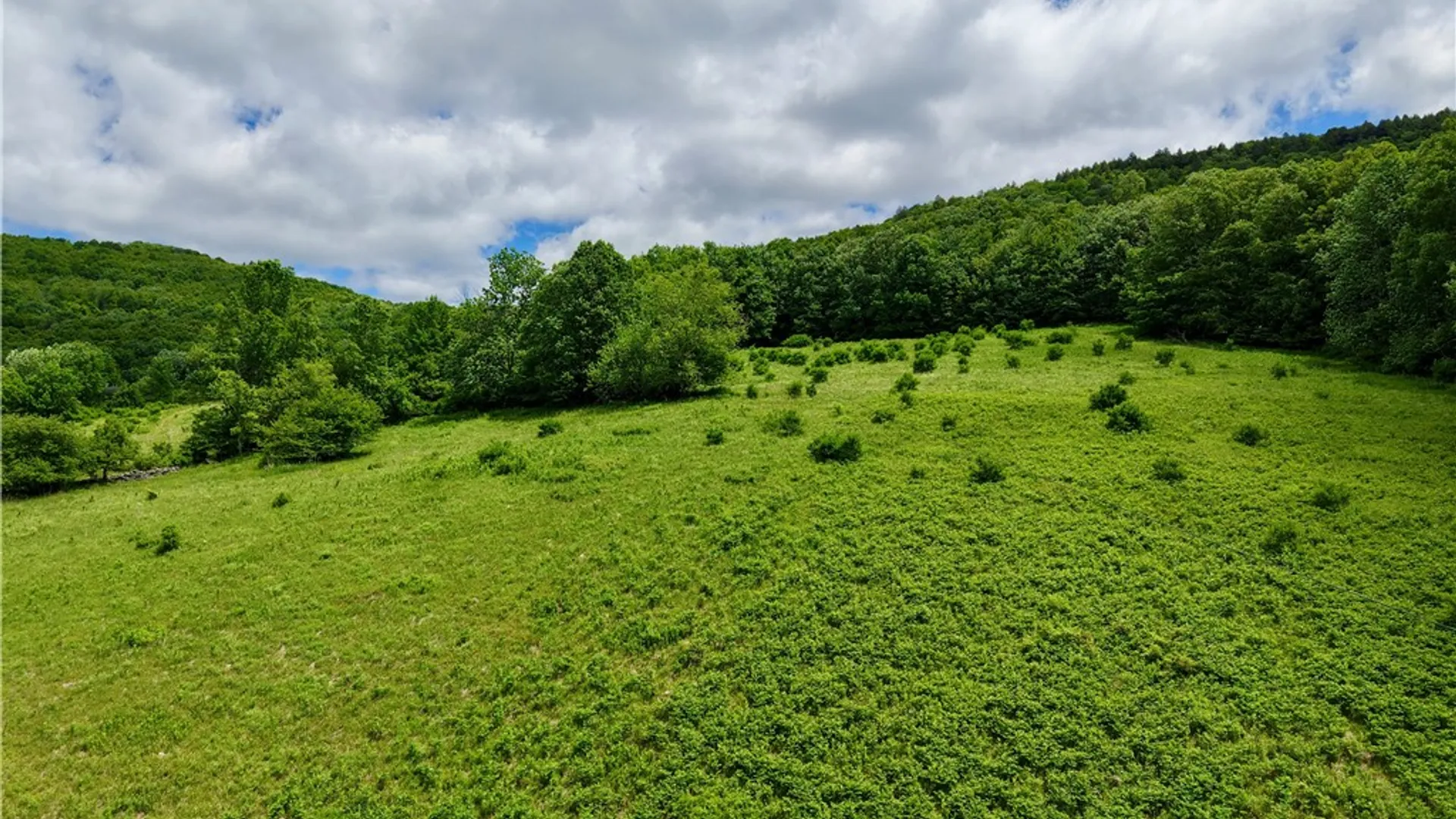 Property at 240 Dowie Road, Andes, NY 13731 44