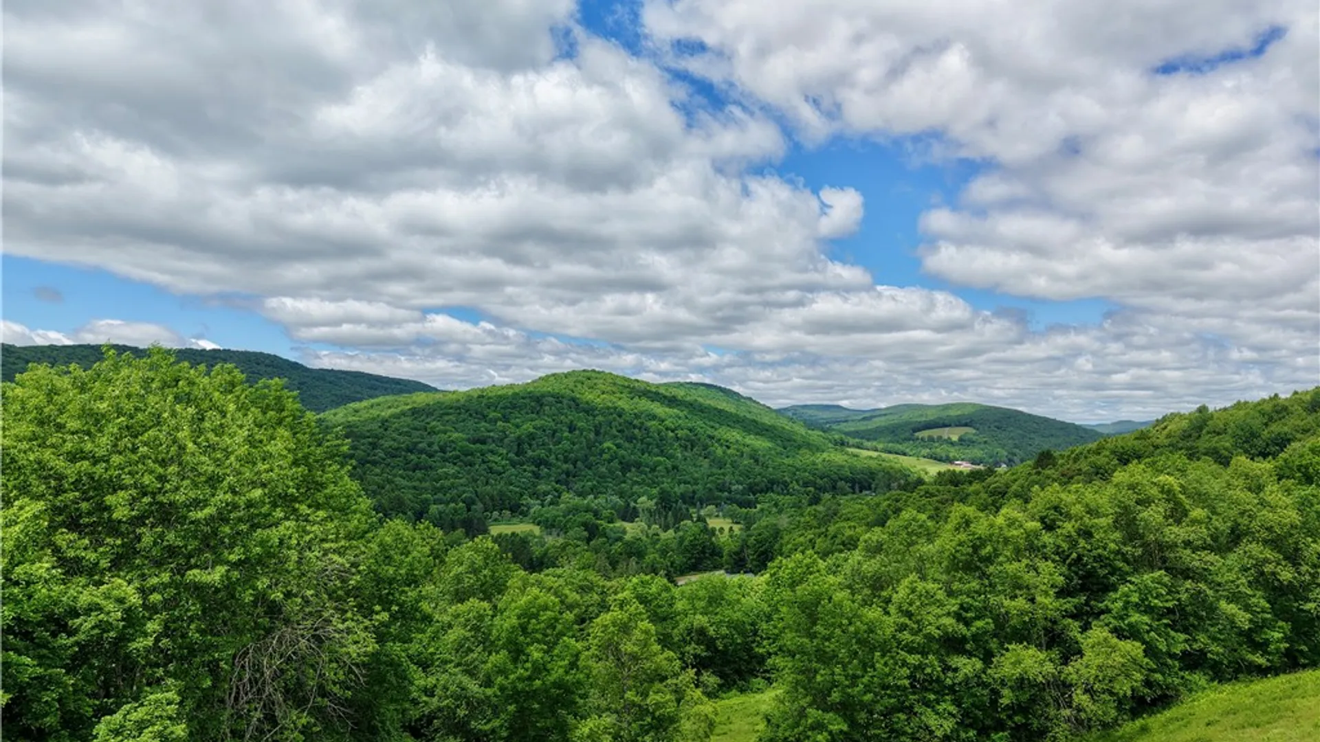 Property at 240 Dowie Road, Andes, NY 13731 45