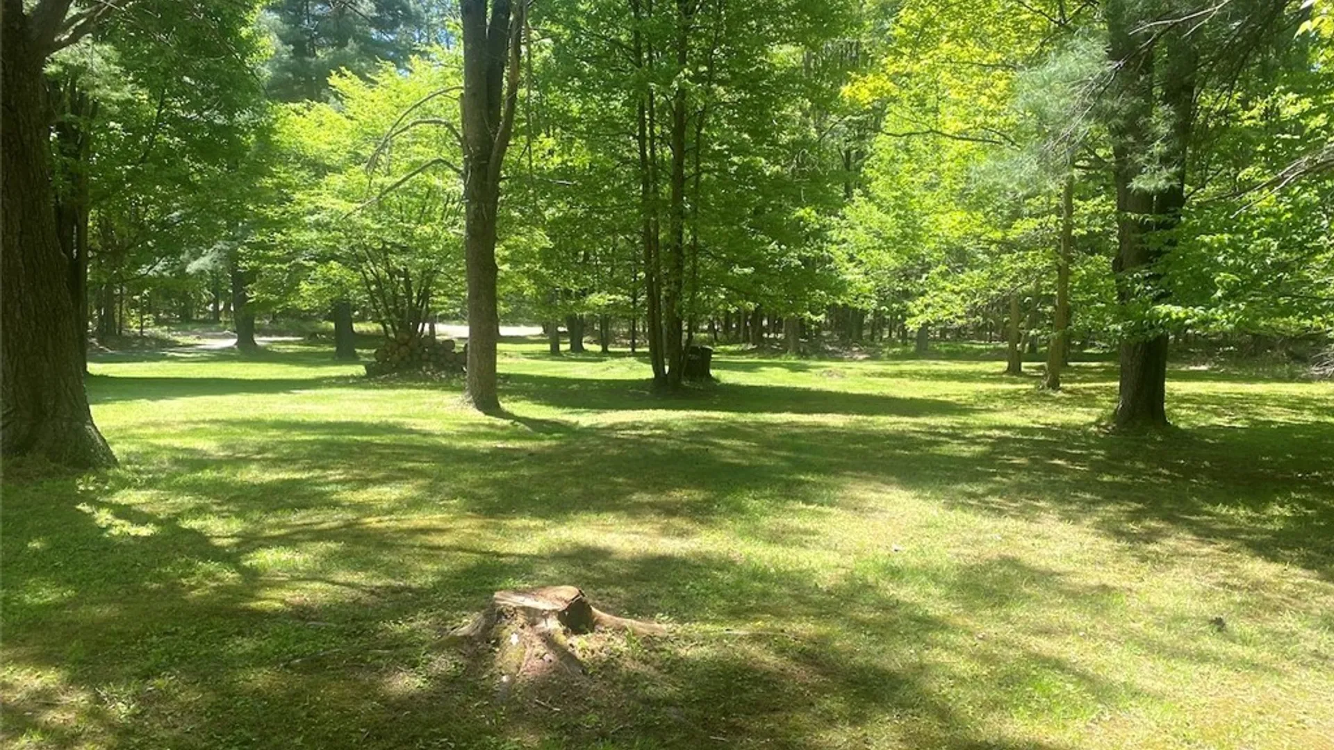 Property at 6510 Richburg Hill Road, Wirt, NY 14715 22