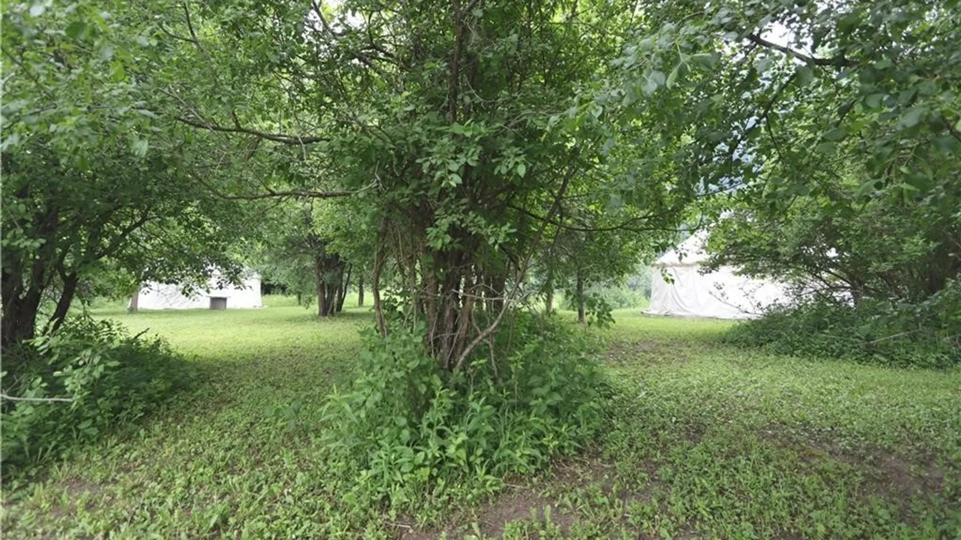 Property at 14211 Dodge Avenue, Hounsfield, NY 13685 36