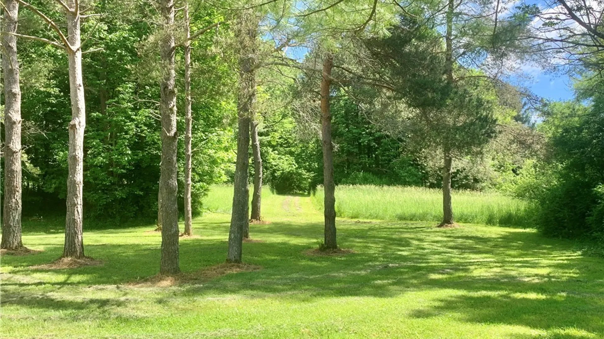 Property at 10149 Bailey Lake Road, Brookfield, NY 13480 44