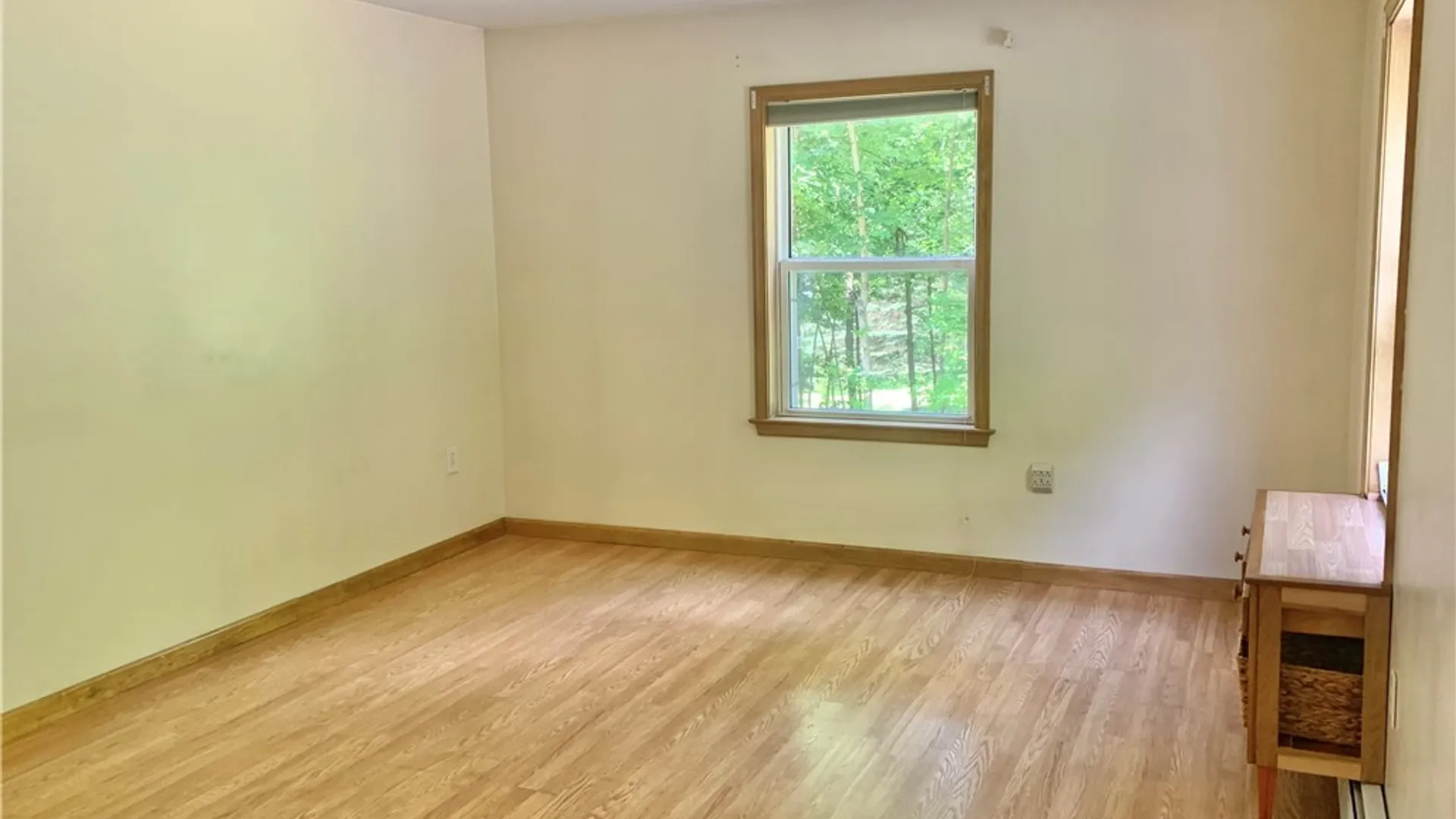 Property at 10149 Bailey Lake Road, Brookfield, NY 13480 10