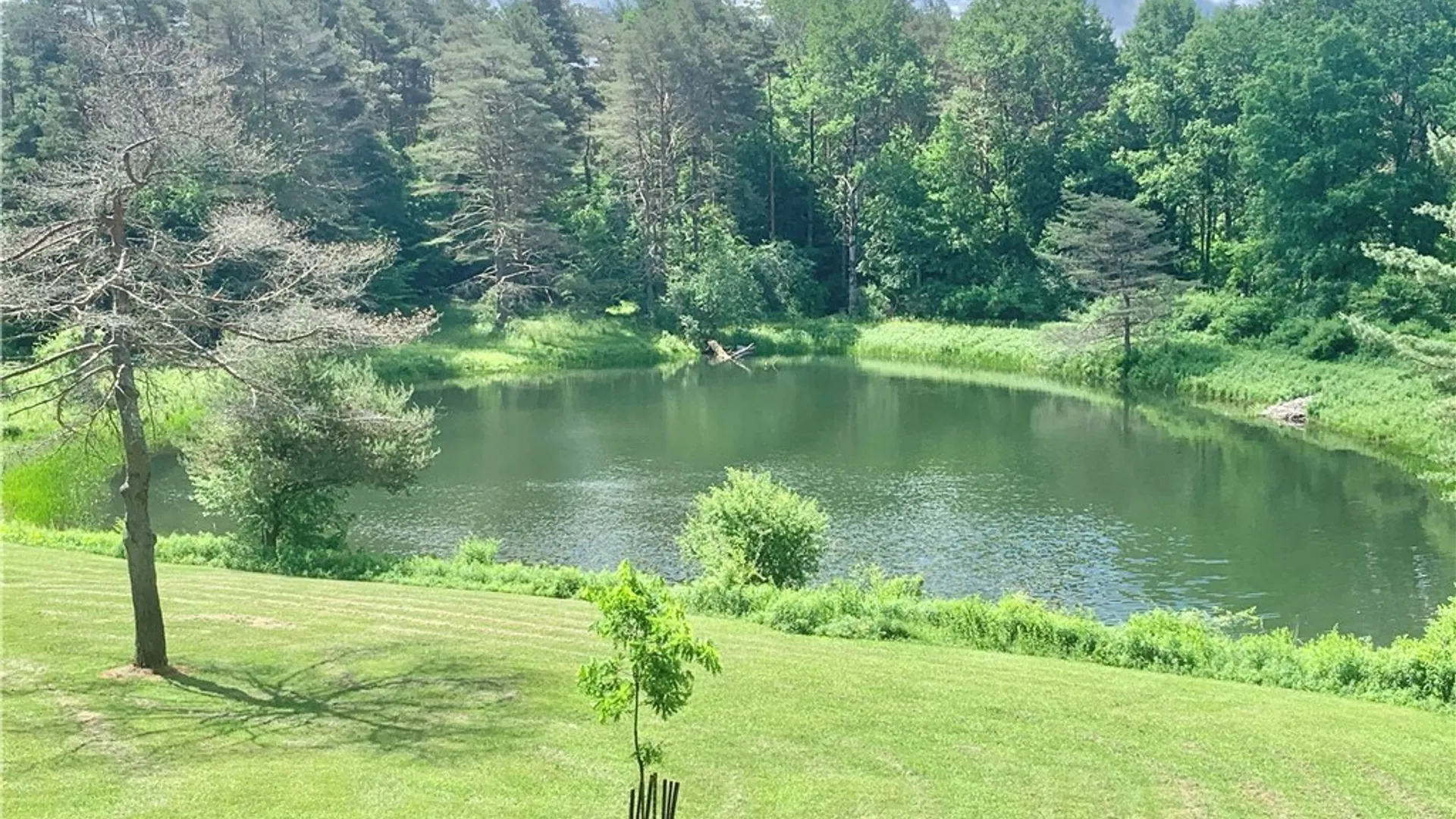 Property at 10149 Bailey Lake Road, Brookfield, NY 13480 46