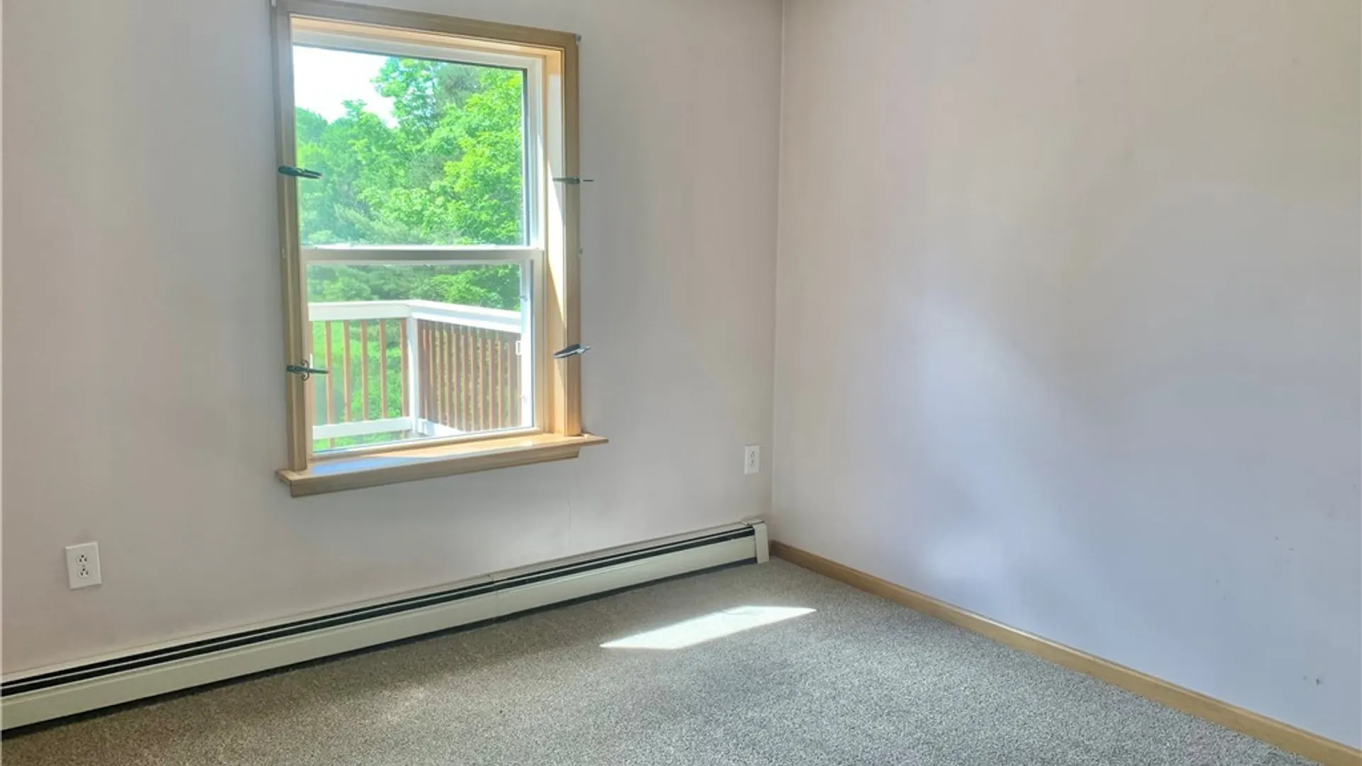 Property at 10149 Bailey Lake Road, Brookfield, NY 13480 14