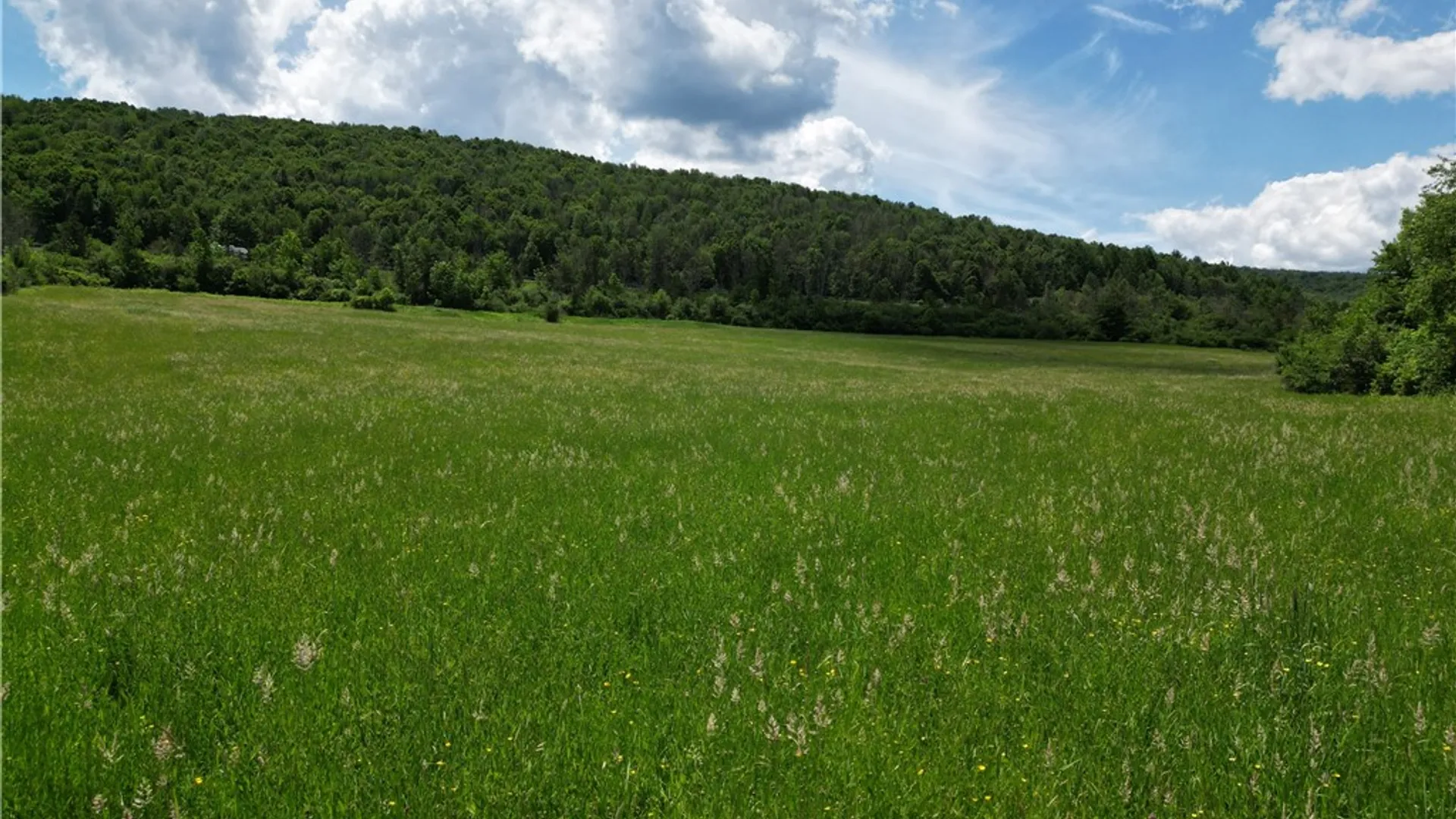 Property at Karr Valley Road, Almond, NY 14804 6