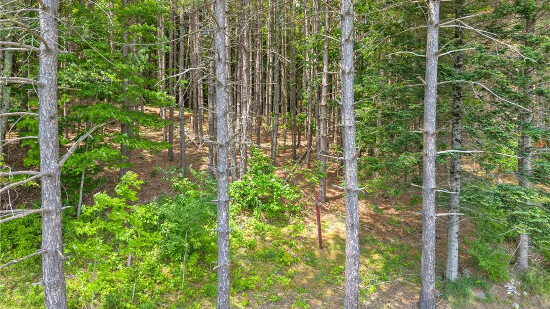 Property at 151 Lookout Drive, Summit, NY 12036 24
