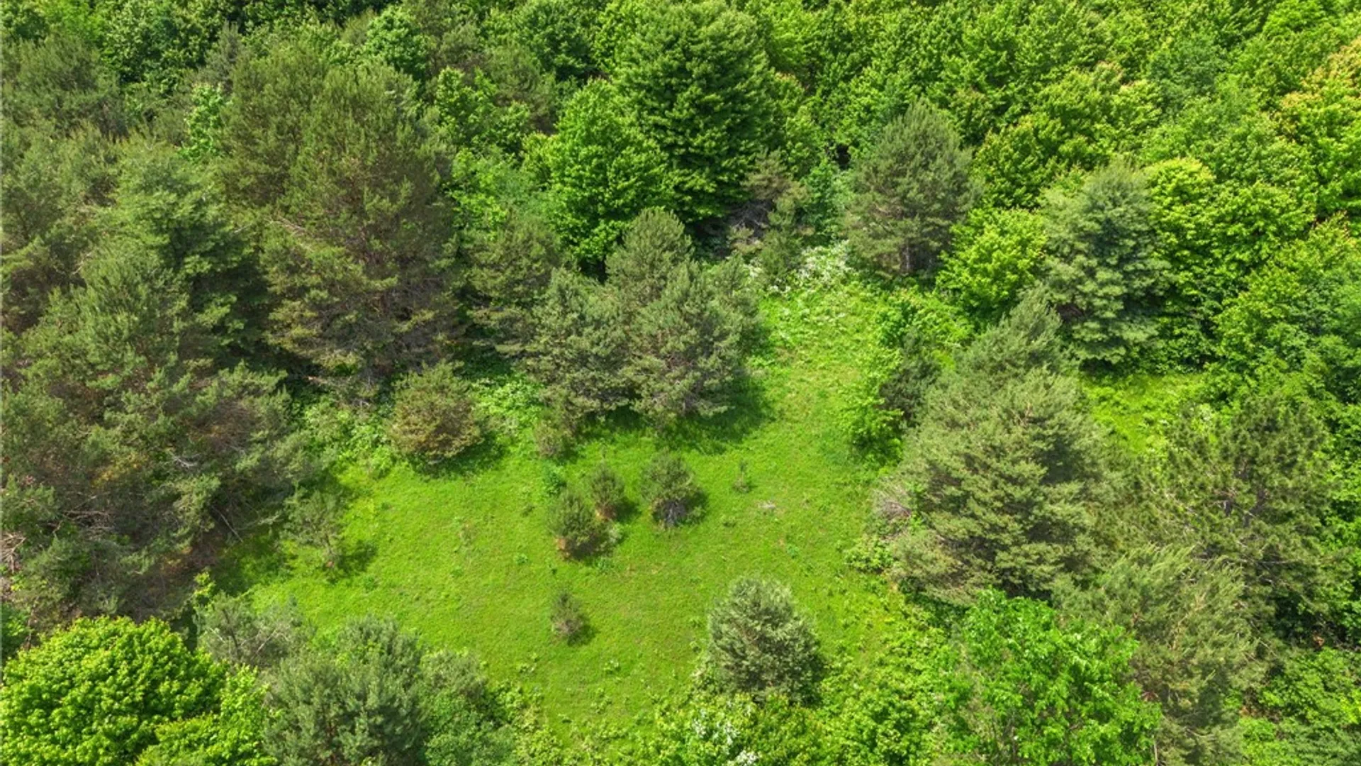 Property at 151 Lookout Drive, Summit, NY 12036 25