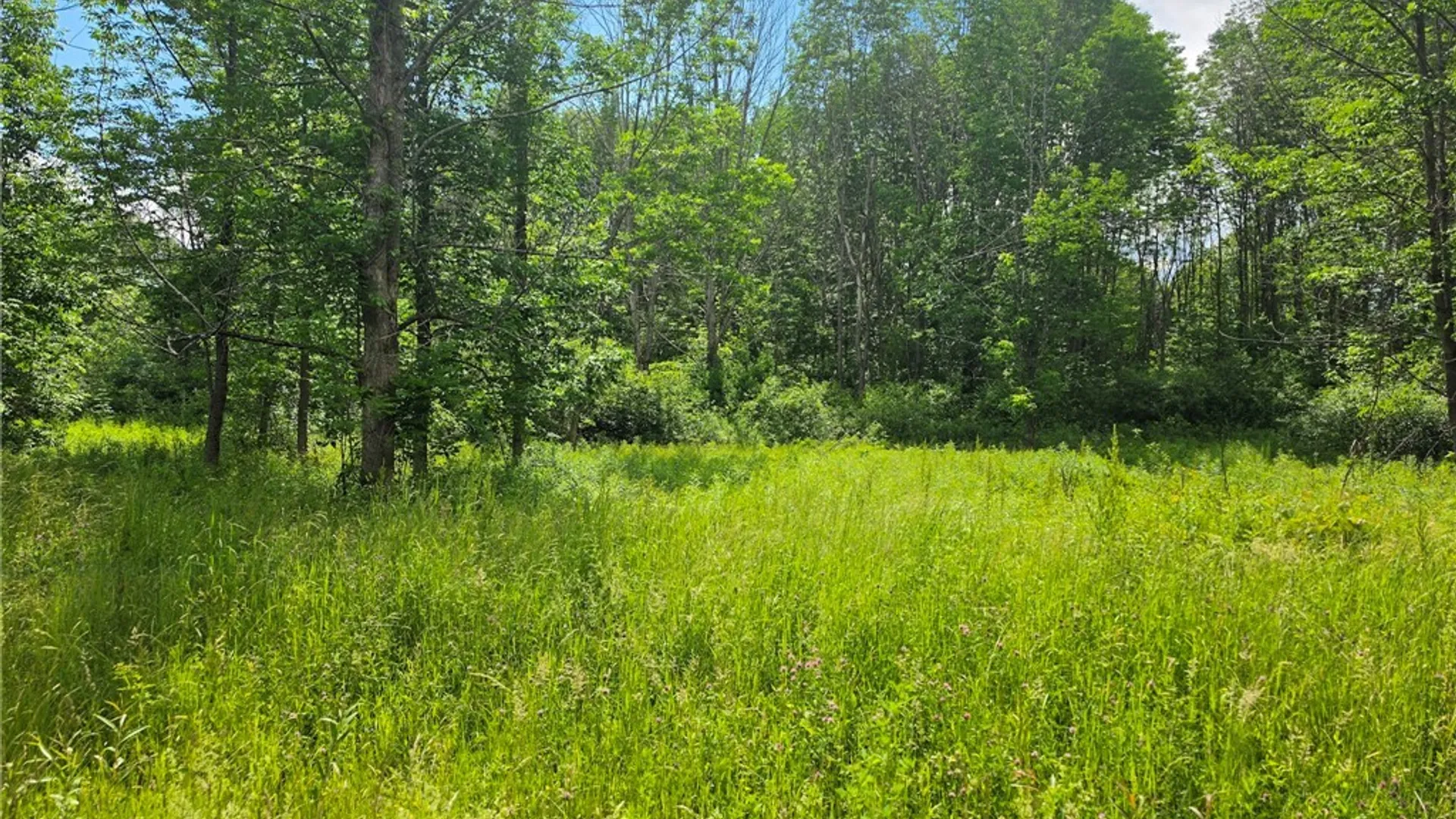 Property at 0 Depot Road, Vienna, NY 13042 4