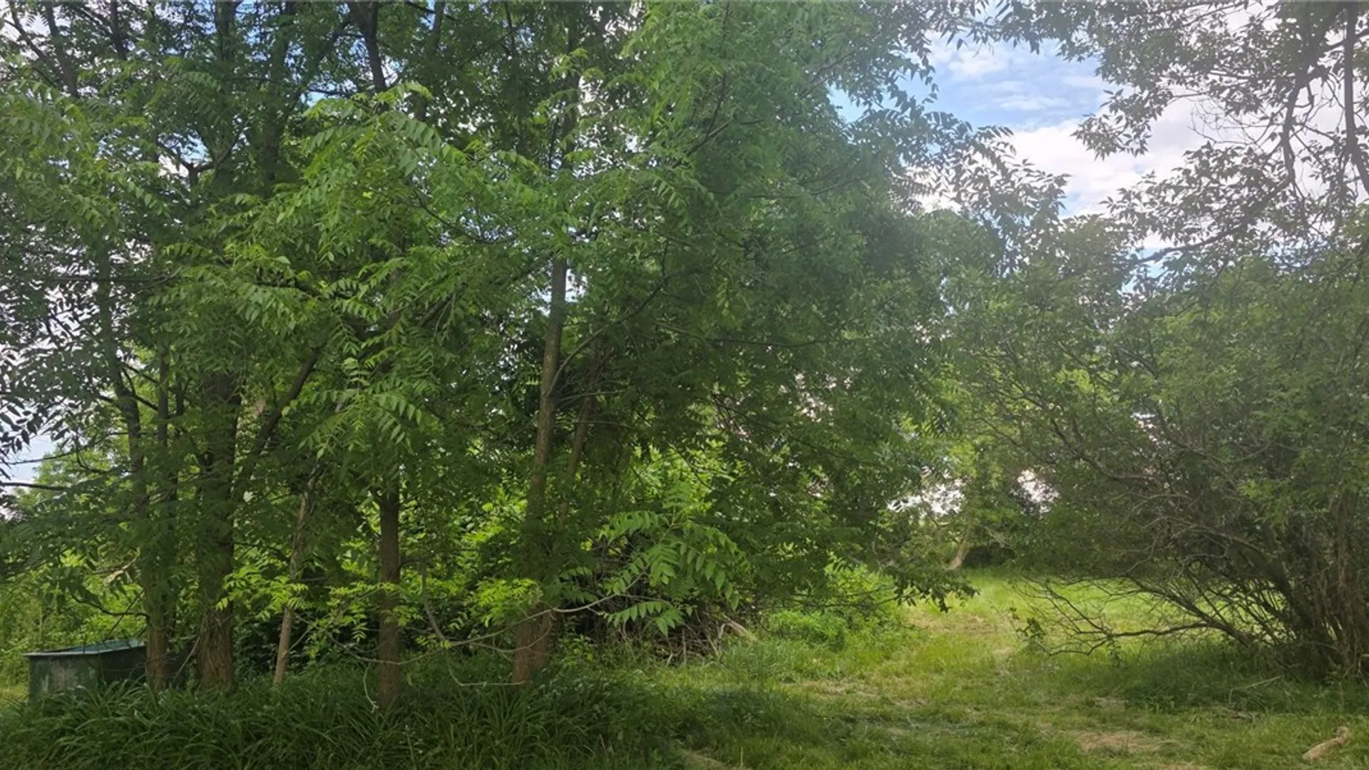 Property at 1747 Pole Bridge Road, Avon, NY 14414 4