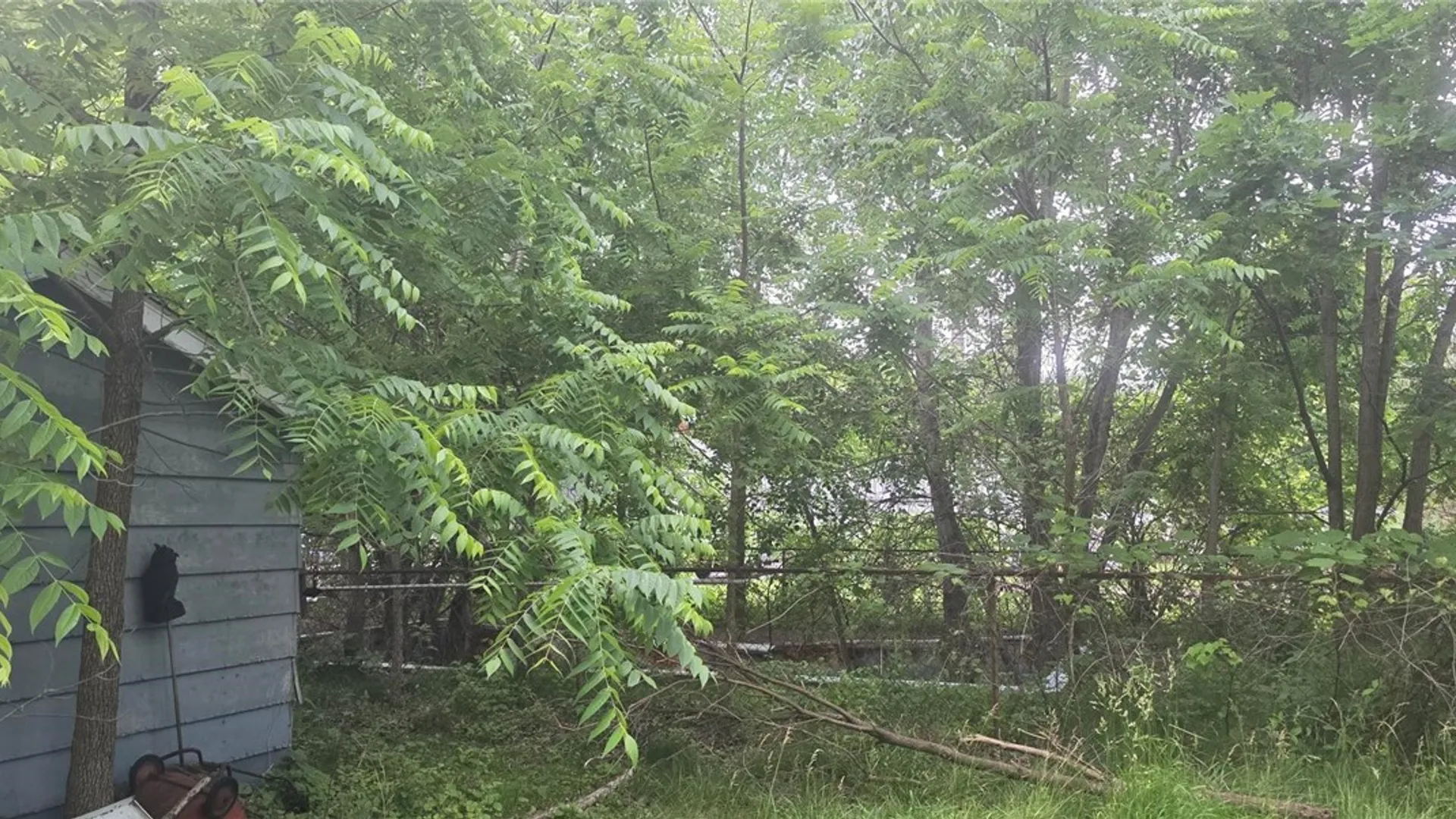 Property at 1747 Pole Bridge Road, Avon, NY 14414 5