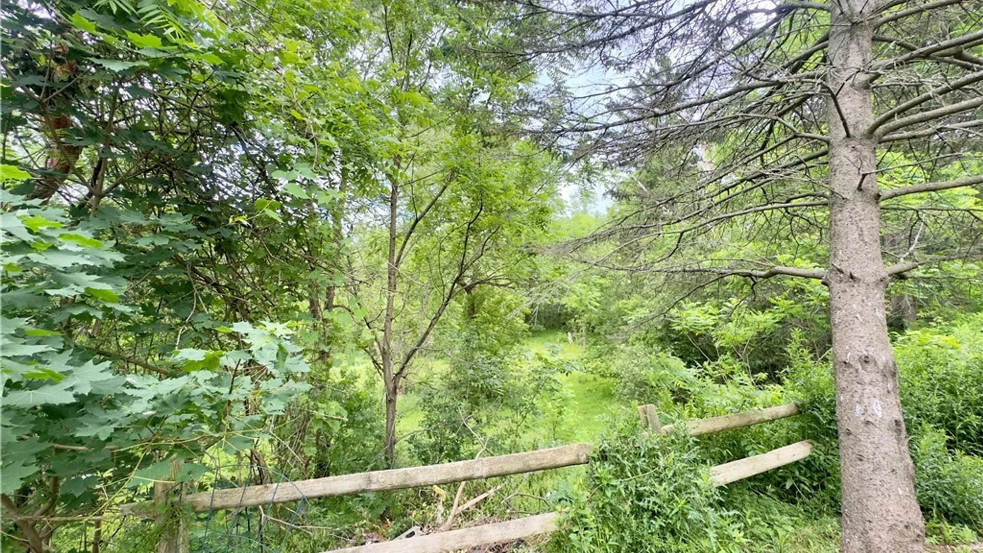 Property at 3727 Route 39, Collins, NY 14034 28