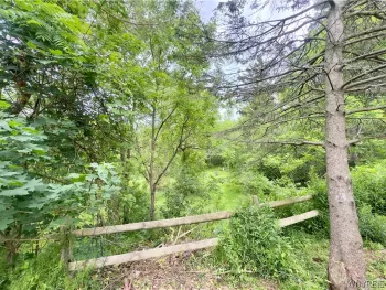 Property at 3727 Route 39, Collins, NY 14034