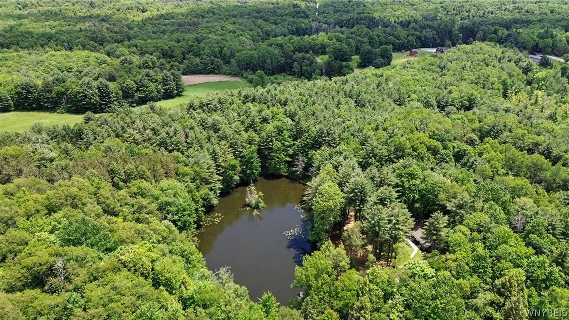 Property at 13480 Miller Avenue, Sardinia, NY 14030 45